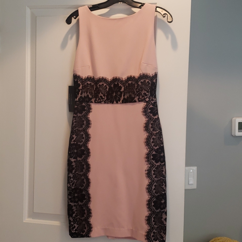 NWT Limited Pink and Black Lace Mini Dress Sz 0